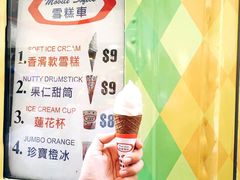 -富豪雪糕车流动点(尖沙咀店)