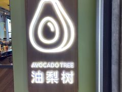 -油梨树AVOCADO TREE(望京店)