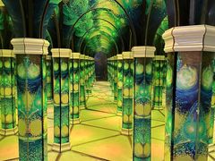-天津梵高星空艺术馆(天河城旗舰店)