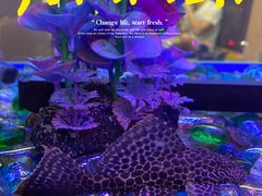 -新辉港式茶餐厅(北栅店)