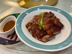 -椿记烧鹅(叠彩店)