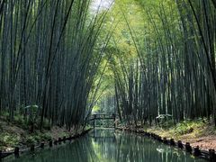-同里国家湿地公园