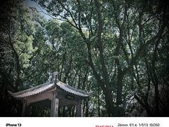 -惠山国家森林公园