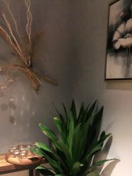 -花隐瑜伽·普拉提·红绳