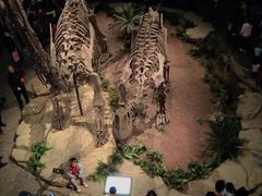 -自贡恐龙博物馆