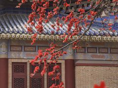 -广州中山纪念堂
