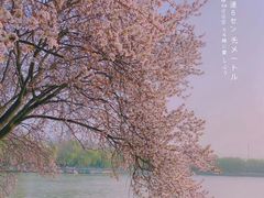 -未央湖游乐园