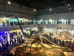 -自贡恐龙博物馆