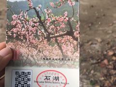 -苏州上方山国家森林公园