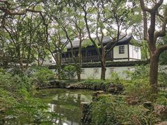 -上海醉白池公园