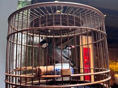 -31号公馆(黄兴广场白果园店)