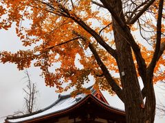 -大慈恩寺(大雁塔)