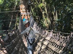 -西双版纳原始森林公园