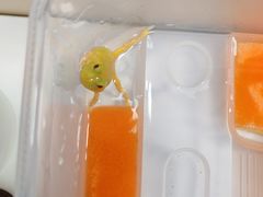 -应天大明王朝·南京菜创始店(中山陵店)