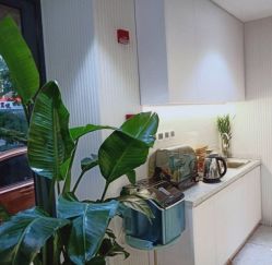 -PE SALON