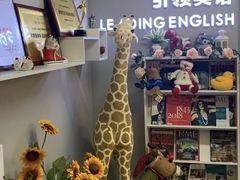 -引领英语·成人口语·雅思托福