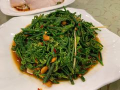 -红豆园(文林街店)