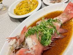 -海港酒家(上水新丰店)