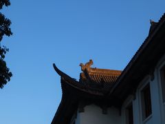 -四川大学(望江校区)