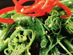 -惠丰堂饭庄(北洼路店)