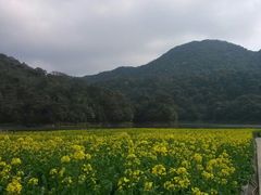 android_upload_pic-广州市石门国家森林公园