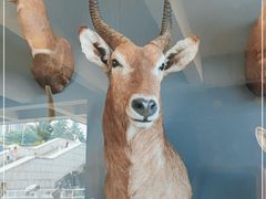 -陕西自然博物馆