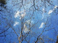 -青峰峡国家森林公园