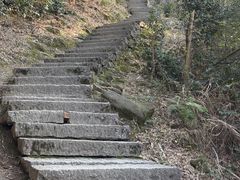 -长沙黑麋峰国家森林公园