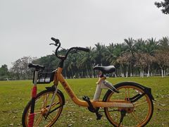 -万绿园
