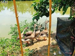 -园林美食城·本土农家菜(杨和镇店)