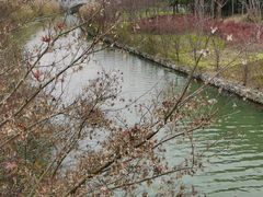 -昆山城市生态森林公园