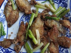 椒盐旁皮鱼-洞天食府(北大街店)