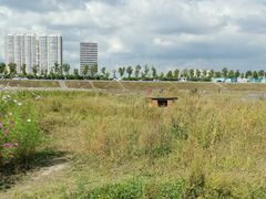 -哈尔滨大剧院