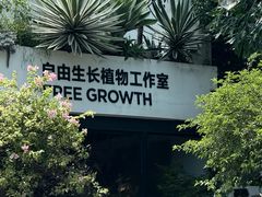 -自由生长植物工作室(深港花卉中心店)