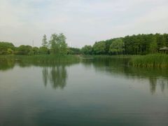 -昆山城市生态森林公园