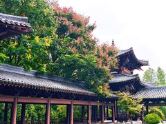 -祥源·阜阳生态乐园