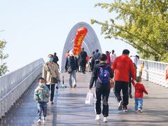 -大兴滨河森林公园