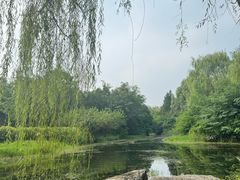 -北坞公园