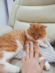 -Rena nail 美甲美睫私人定制