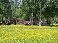 -北坞公园