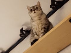 -隅cafe(傅厚岗店)