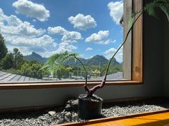 -宴武夷·匠心闽味(印象大红袍店)