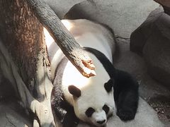 -宁波野生动物园