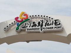 -上海鲜花港