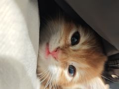 -星巴克臻选(沈阳大悦城店)