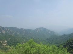 -大岭沟猕猴桃谷风景区