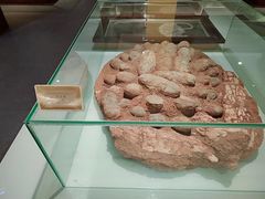 -老磨油饼(高陵店)