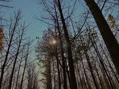 -汉景帝阳陵博物院