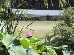 -扬州大运河文化旅游度假区·盆景园