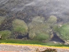-丁香湖公园